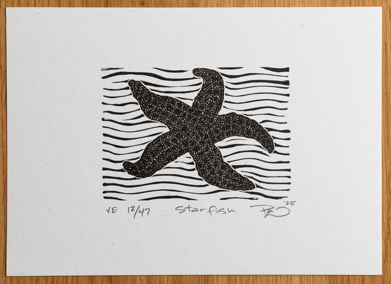 Starfish | Paz Méndez Art