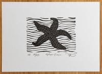 Image 2 of Starfish