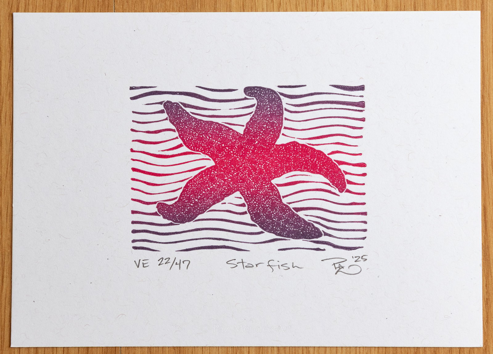 Starfish | Paz Méndez Art