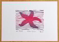 Image 1 of Starfish