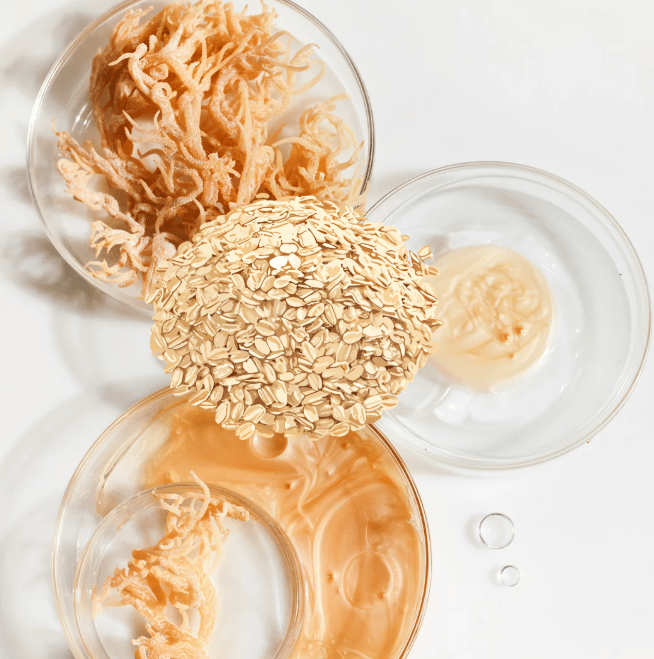 Image of SEA MOSS & OATS FACE AND BODY CARE