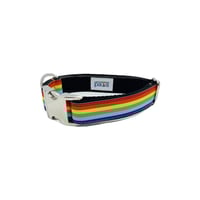 Rainbow Pride - Dog Collar 