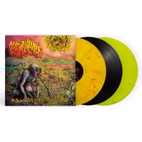 Image 1 of PLASMODULATED - "AN OCEAN OV PUTRID, STINKY, VILE, DISGUSTING HELL" 12" Vinyl LP