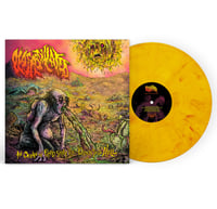 Image 2 of PLASMODULATED - "AN OCEAN OV PUTRID, STINKY, VILE, DISGUSTING HELL" 12" Vinyl LP **PREORDER**