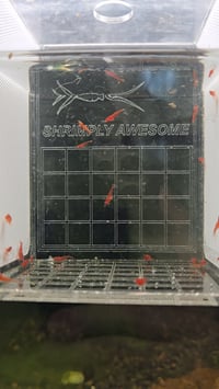 Image 4 of Isolation Box