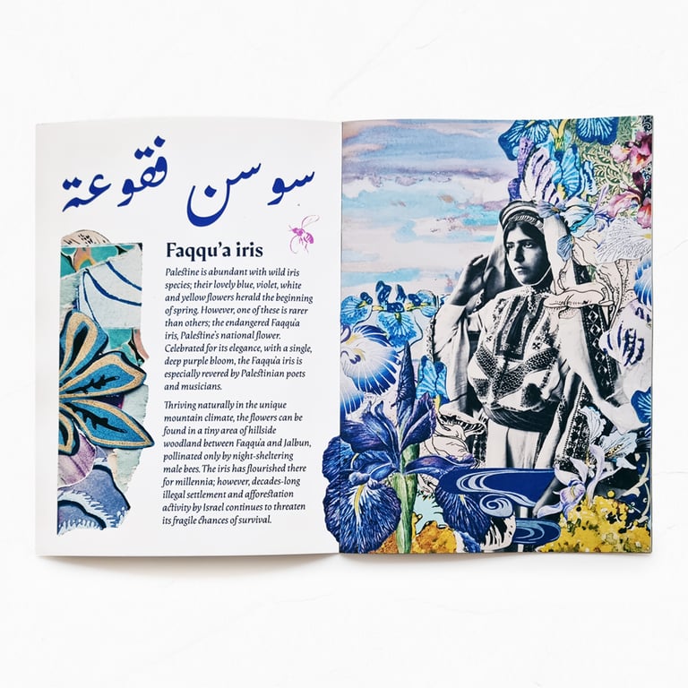 ‘wildflowers of palestine’ collage art zine – all profits go to charity! Image 3