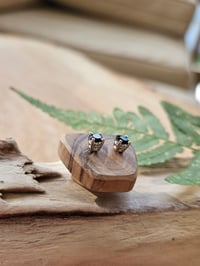 Image 3 of Onyx White Gold Earring Studs 