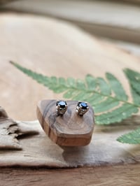 Image 5 of Onyx White Gold Earring Studs 