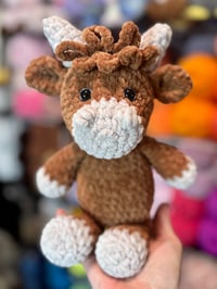 Image 1 of Henry The Highland Cow