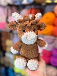 Image 2 of Henry The Highland Cow