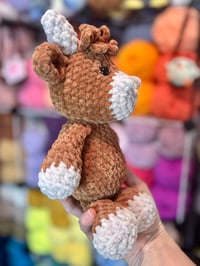 Image 3 of Henry The Highland Cow