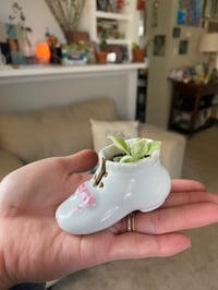 Image 4 of Baby Sun Rose Succulent