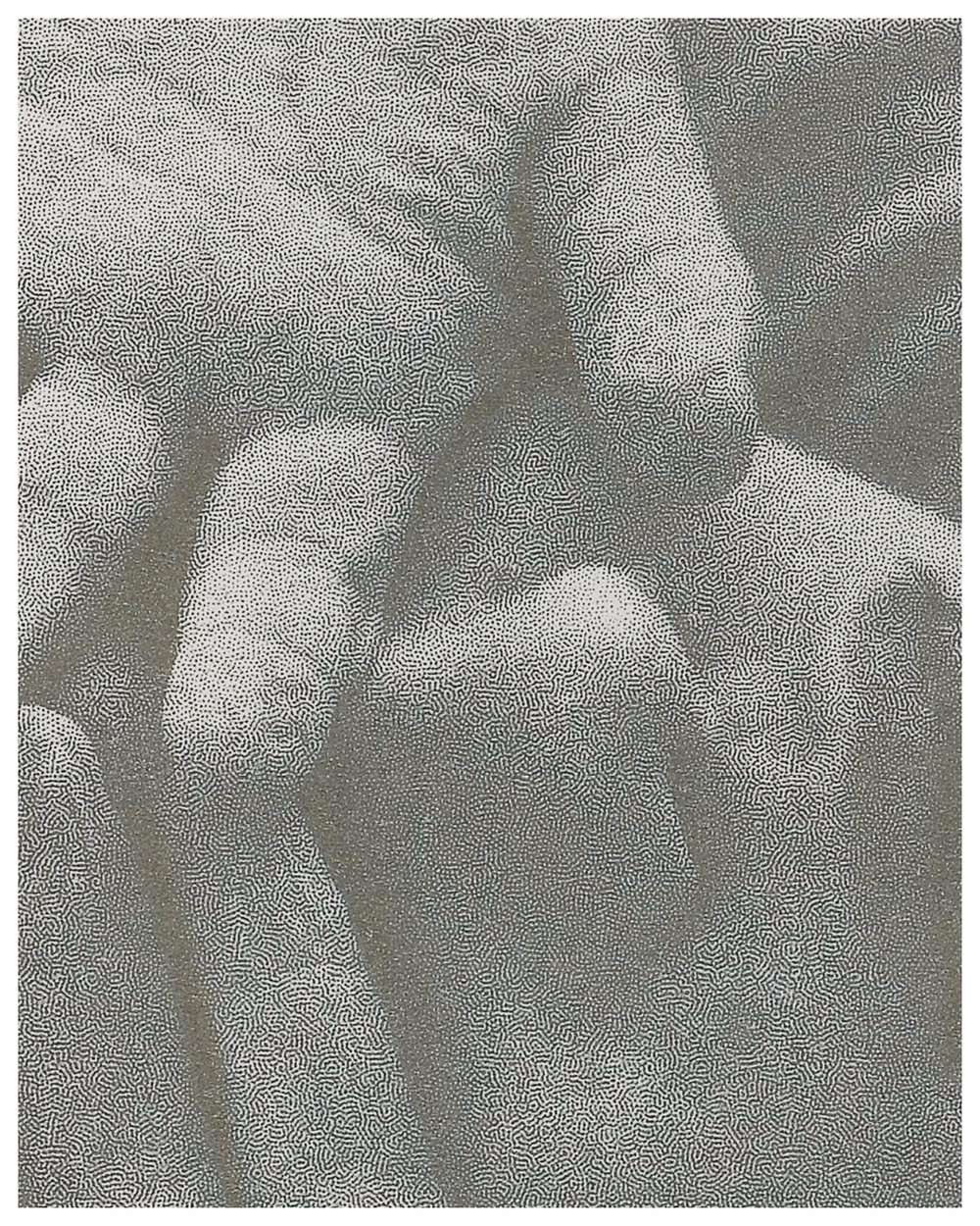 Image of [color/shift] COLOR STUDY PRINT-DU-JOUR