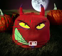 Image 1 of KATZ HAT