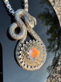 Image 1 of Diviner