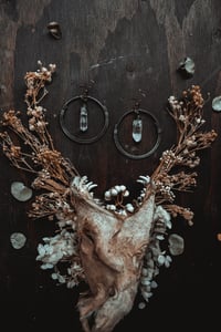 Image 3 of Crystal earrings