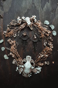 Image 4 of Witchspine Bone Earrings