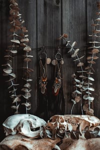 Image 2 of Rib & Rattle