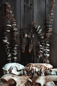 Image 5 of Rib & Rattle