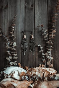 Image 1 of Witchspine Tassels