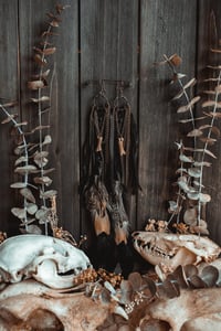 Image 2 of Ritual Braid Talons