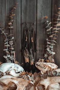 Image 4 of Ritual Braid Talons