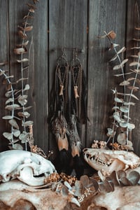 Image 6 of Ritual Braid Talons