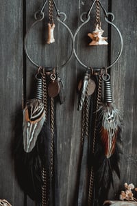 Image 4 of Carrion Warden Hoops