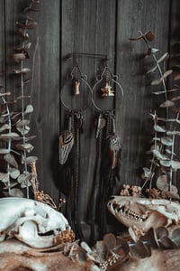 Image 5 of Carrion Warden Hoops