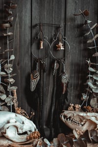 Image 1 of Carrion Warden Hoops