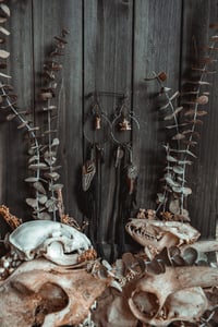 Image 8 of Carrion Warden Hoops