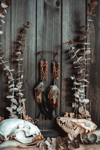 Image 2 of Spinewind Talons