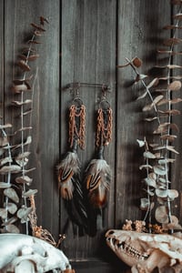 Image 4 of Spinewind Talons