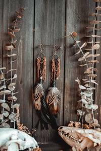 Image 1 of Spinewind Talons