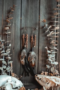 Image 5 of Spinewind Talons