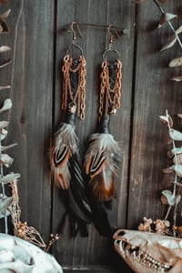Image 7 of Spinewind Talons