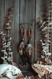 Image 8 of Spinewind Talons