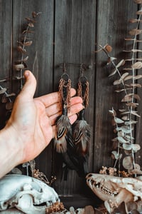 Image 9 of Spinewind Talons