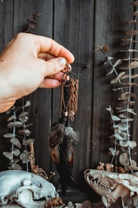 Image 3 of Spinewind Talons