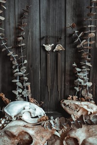 Image 2 of Bone and chains 