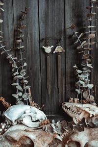 Image 3 of Bone and chains 