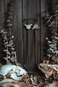 Image 1 of Bone and chains 
