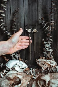 Image 6 of Bone and chains 