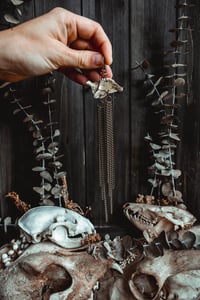 Image 7 of Bone and chains 