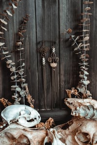 Image 2 of Brass movement bone earrings