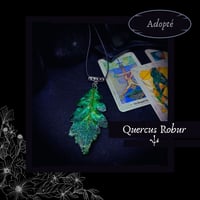 Image 21 of ☽ Quercus Robur ☾