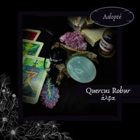 Image 11 of ☽ Quercus Robur ☾
