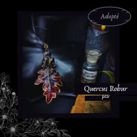Image 15 of ☽ Quercus Robur ☾