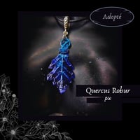 Image 18 of ☽ Quercus Robur ☾