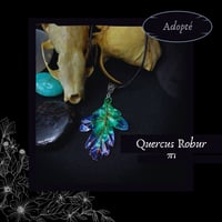 Image 17 of ☽ Quercus Robur ☾